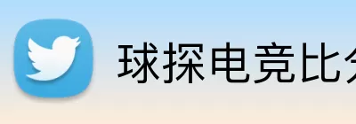 球探电竞比分 Logo